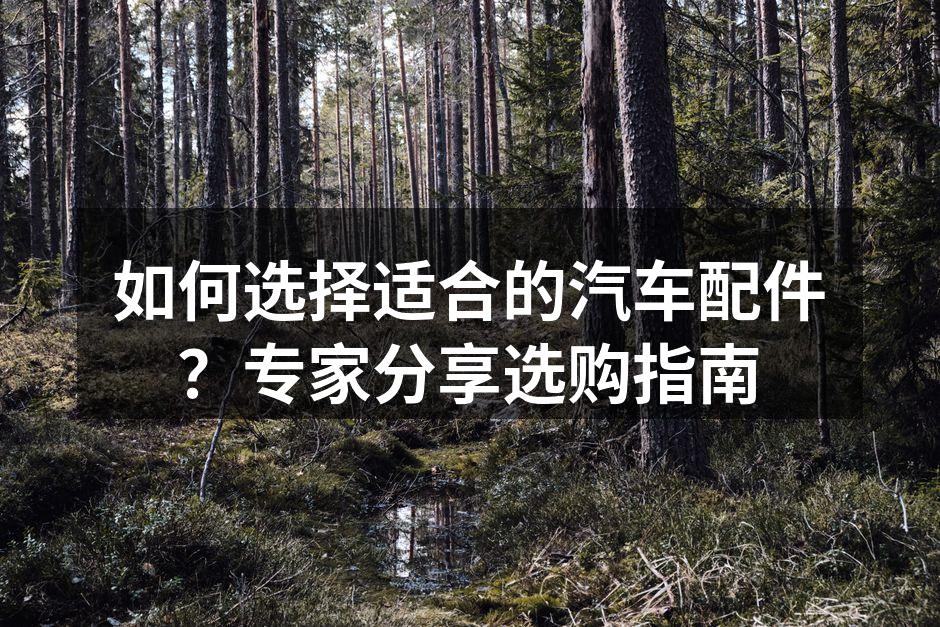 专业技师正在检查汽车配件
