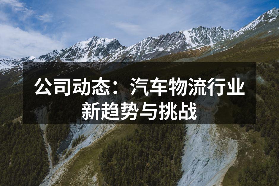 智能物流系统提升运输效率